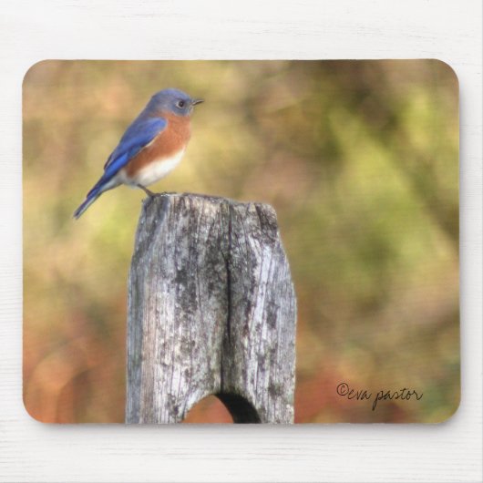 Bluebird Mousepad Muismat (Voorkant)