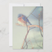 Bluebird Nature Bridal Shower  Kaart (Achterkant)