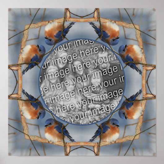 Bluebird Natuur Lijst Creëer Uw eigen foto Poster (Voorkant)