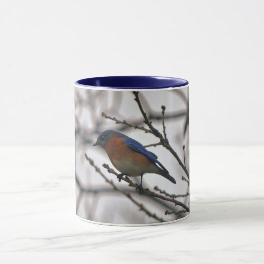 Bluebird Natuur Lover Bird Lover Winter Mok (Midden)