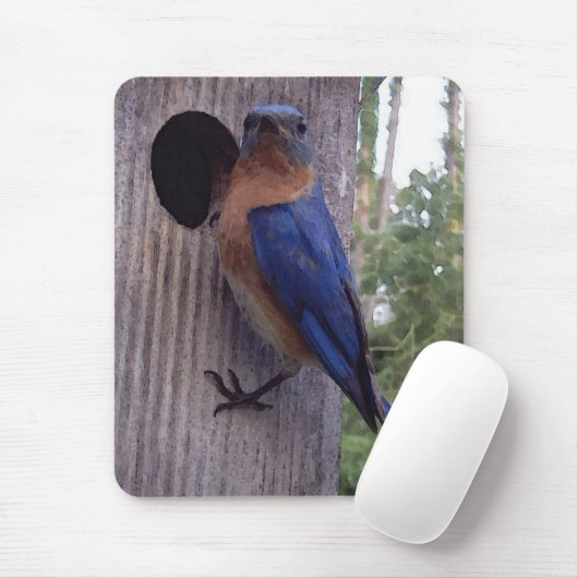 Bluebird Nest Box Mousepad Muismat (Met muis)