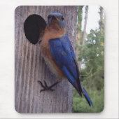 Bluebird Nest Box Mousepad Muismat (Voorkant)