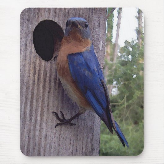 Bluebird Nest Box Mousepad Muismat (Voorkant)
