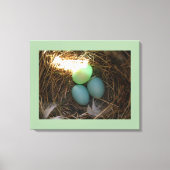 Bluebird Nest & Eggs Canvas Afdruk (Voorkant)