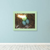 Bluebird Nest & Eggs Canvas Afdruk (Insitu (Houten vloer))