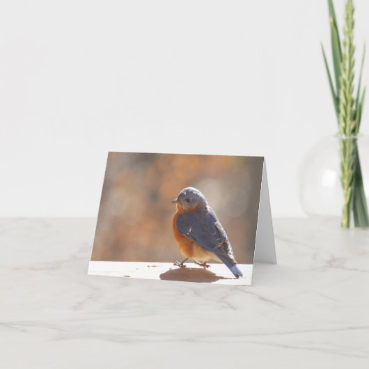 Bluebird Notecard - Blank Inside Bedankkaart (Voorkant)