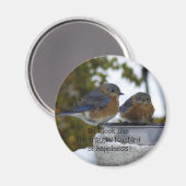 Bluebird of Happiness Comical Magneet (Voorkant / Achterkant)