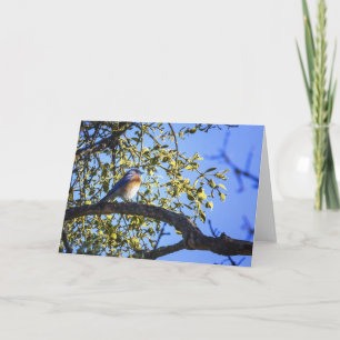 Bluebird onder het Mistletoe Wenskaart Feestdagen Kaart