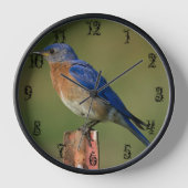 BLUEBIRD OP EEN STAKE C-CLOCK (Voorkant)