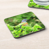 Bluebird op Kurkentrekker Struik Bier Onderzetter (Linkerzijde)