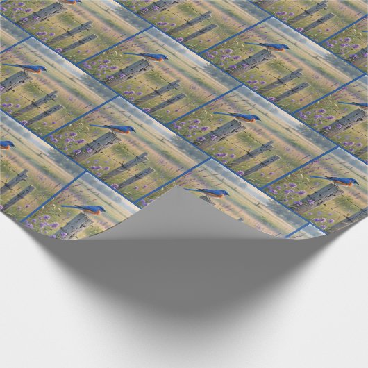 Bluebird op land hek post cadeaupapier (Hoek)