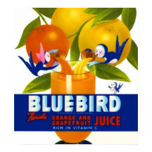 Bluebird Oranje Juice Vintage Poster