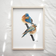 Bluebird Paar Waterverf Art Print