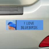 Bluebird Painting - Original Bird Art Bumpersticker (Op auto)