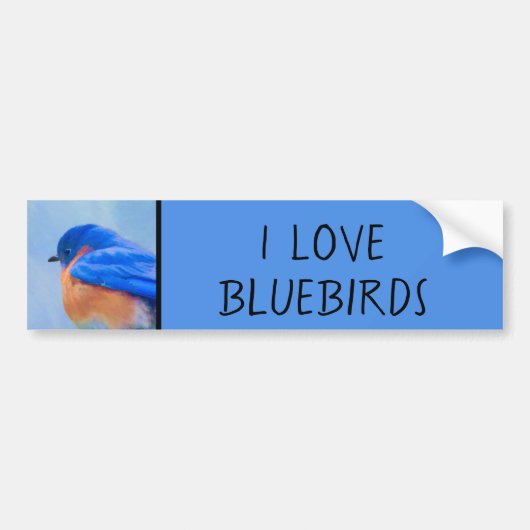 Bluebird Painting - Original Bird Art Bumpersticker (Voorkant)