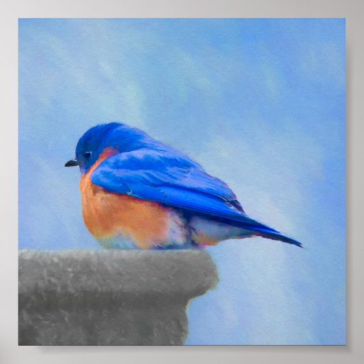 Bluebird Painting - Original Bird Art Poster (Voorkant)