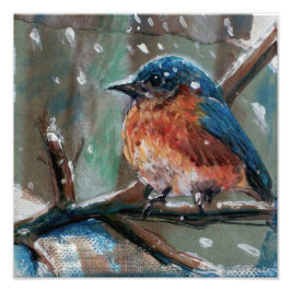 Bluebird Painting Winter Art Foto Afdruk