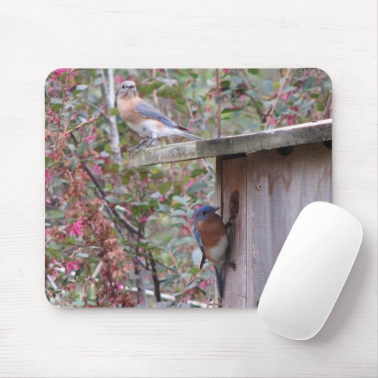Bluebird Pair Mousepad Muismat (Met muis)