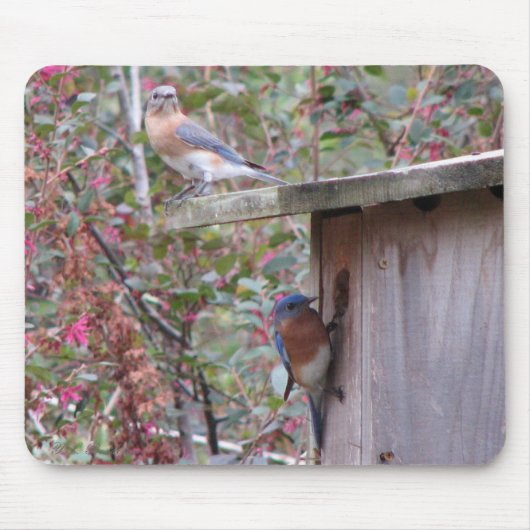 Bluebird Pair Mousepad Muismat (Voorkant)