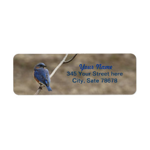 Bluebird Photo Return-adreslabels Etiket