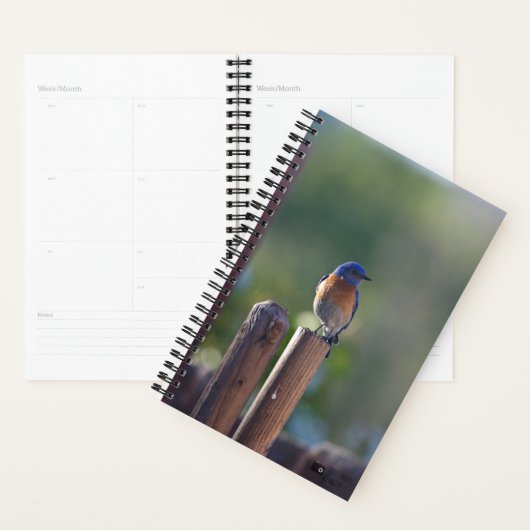 Bluebird Planner (Display)