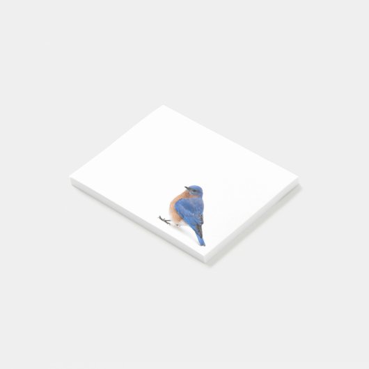 Bluebird Post-it® Notes (Schuin)