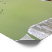 Bluebird Provider Poster (Hoek)