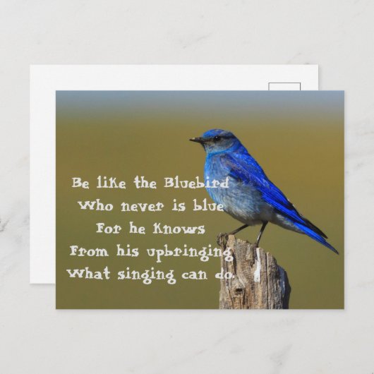 Bluebird Quote Briefkaart (Voorkant / Achterkant)