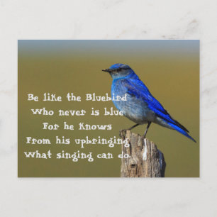 Bluebird Quote Briefkaart