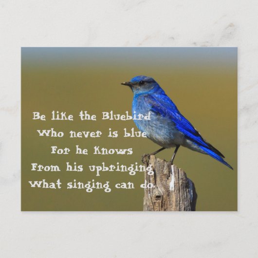 Bluebird Quote Briefkaart (Voorkant)