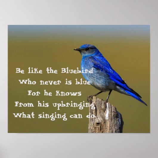 Bluebird Quote Poster (Voorkant)