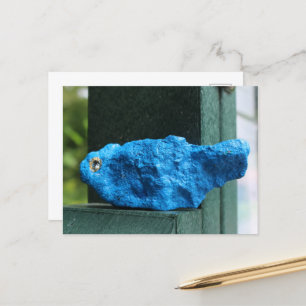 bluebird rock briefkaart