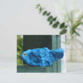 bluebird rock briefkaart (Staand voorkant)