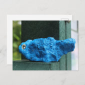 bluebird rock briefkaart (Voorkant / Achterkant)