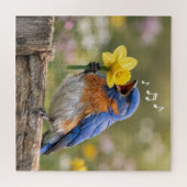 Bluebird Singing Into a Yellow Daffodil Legpuzzel (Horizontaal)