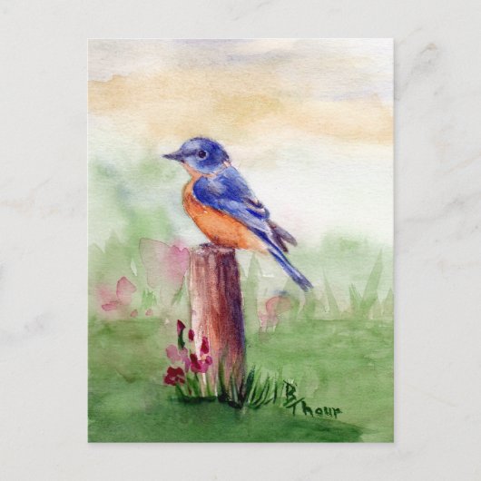 Bluebird Song Briefkaart (Voorkant)