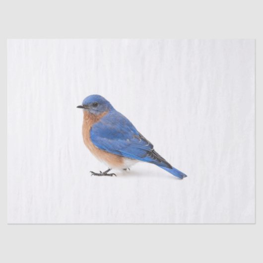 Bluebird Tissuepapier (Voorkant)