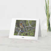 Bluebird, Verjaardag Kaart (Achterkant)