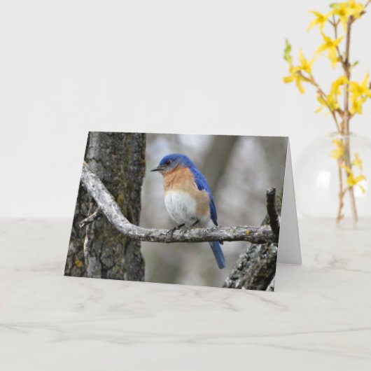 Bluebird, Verjaardag Kaart (Gele Bloem)