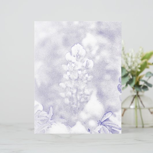 Bluebonnet (Staand voorkant)