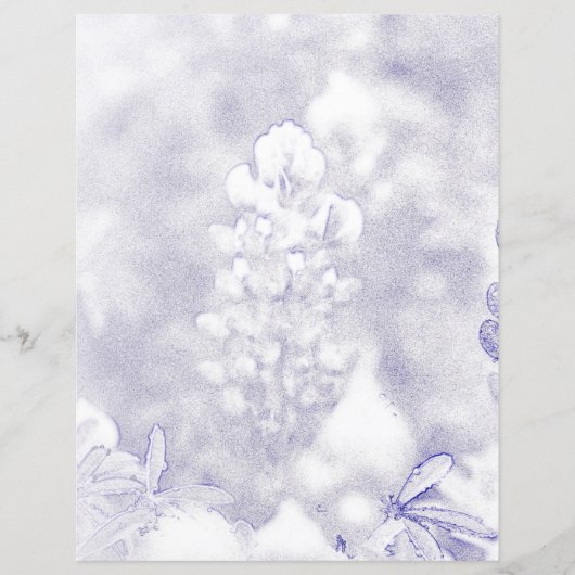 Bluebonnet (Voorkant)