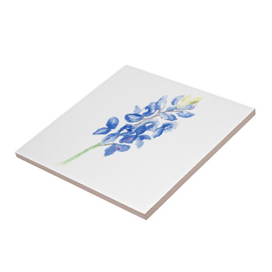 Bluebonnet 1 tegeltje (Zijkant)