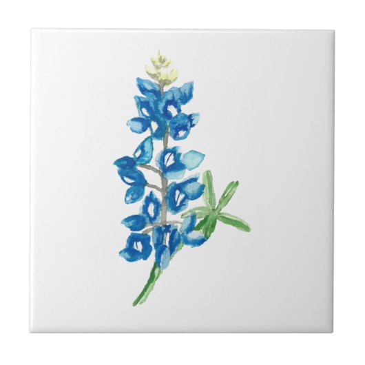 Bluebonnet 2 tegeltje (Voorkant)
