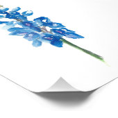 Bluebonnet 5 foto afdruk (Hoek)