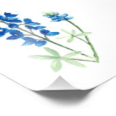 Bluebonnet 6 foto afdruk (Hoek)