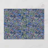 Bluebonnet-ansichtkaart Briefkaart (Voorkant)