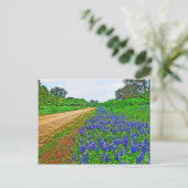 Bluebonnet Back Road Briefkaart (Staand voorkant)