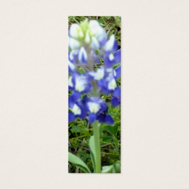 Bluebonnet-Bladwijzer Mini Visitekaartjes (Voorkant)