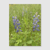 Bluebonnet Blvd. Magneet (Voorkant)