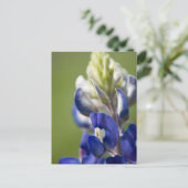 Bluebonnet Briefkaart (Staand voorkant)